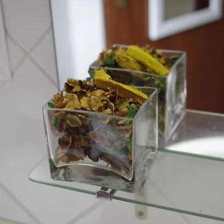 Casinhas Da Laurissilva Lodge São Vicente