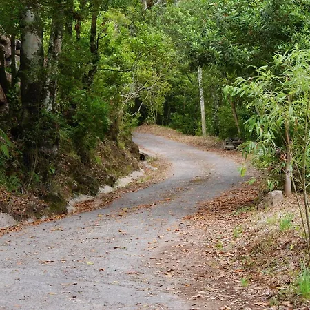 Casinhas Da Laurissilva بيت خشبي *