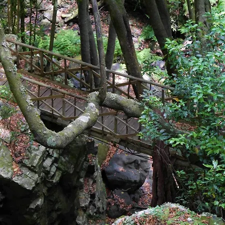 Casinhas Da Laurissilva Lodge