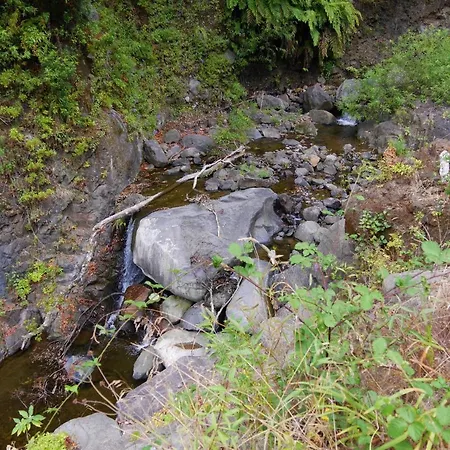 Casinhas Da Laurissilva بيت خشبي