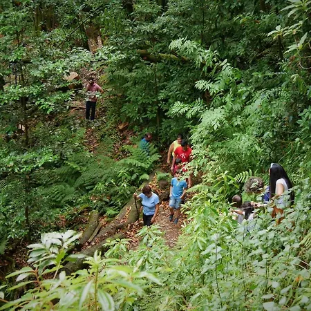 Casinhas Da Laurissilva * São Vicente