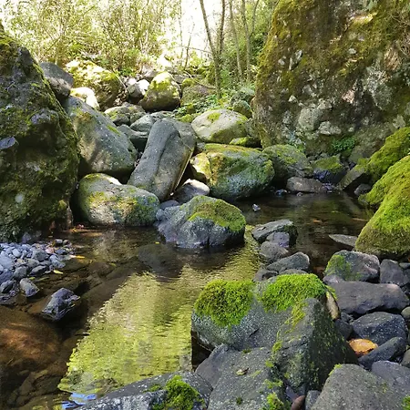 Casinhas Da Laurissilva * São Vicente