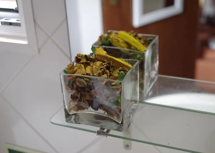 Casinhas Da Laurissilva Chata São Vicente