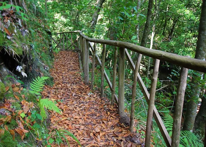 Casinhas Da Laurissilva Chata *