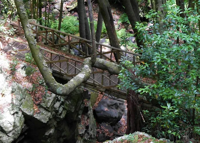 Casinhas Da Laurissilva Lodge