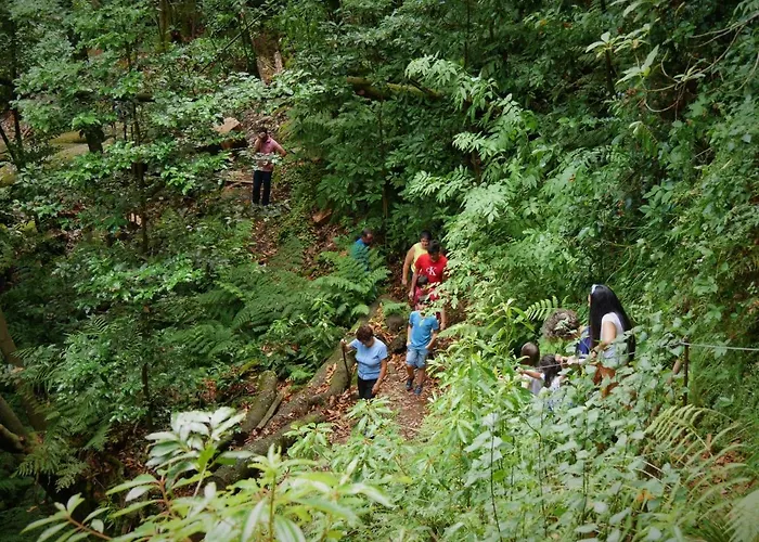 Casinhas Da Laurissilva * São Vicente
