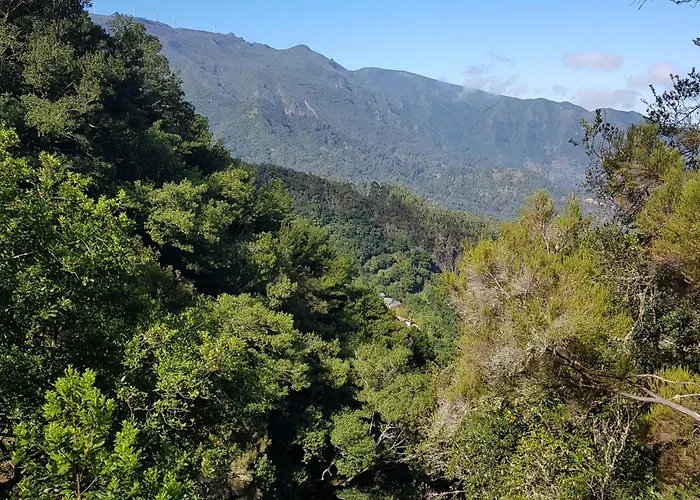 Casinhas Da Laurissilva Chata