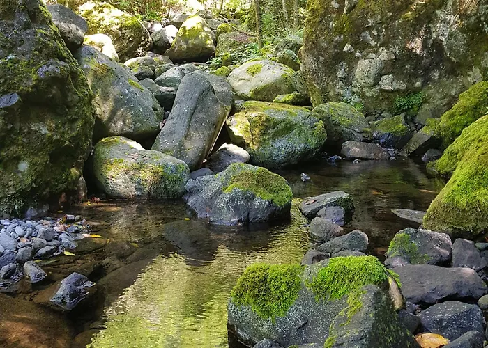 Casinhas Da Laurissilva * São Vicente