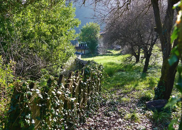 Casinhas Da Laurissilva Chata São Vicente