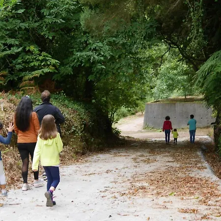 Casinhas Da Laurissilva Jaktstuga São Vicente