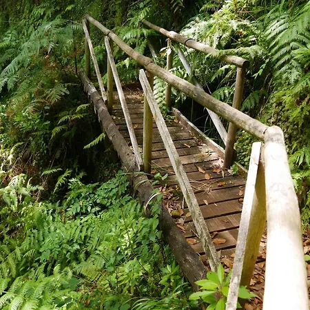 Casinhas Da Laurissilva