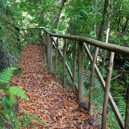 Casinhas Da Laurissilva Jaktstuga *