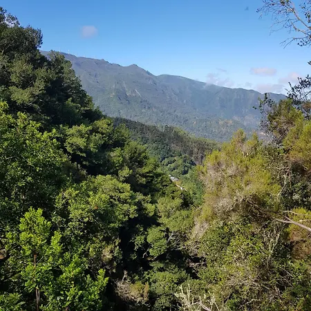 Casinhas Da Laurissilva Lodge