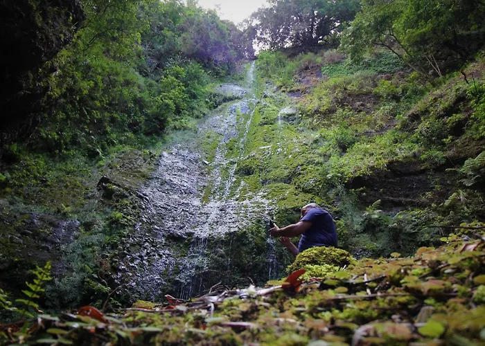 Lodge Casinhas Da Laurissilva