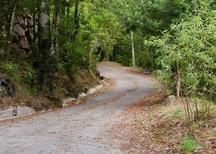 Casinhas Da Laurissilva Lodge *