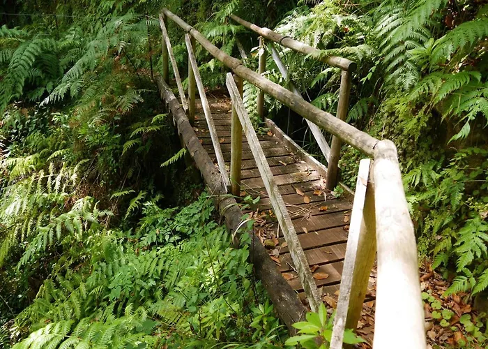 Casinhas Da Laurissilva