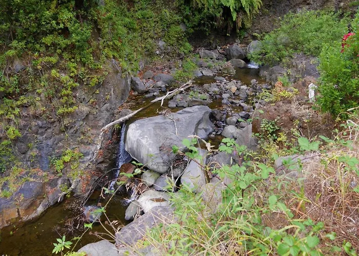 Casinhas Da Laurissilva Lodge