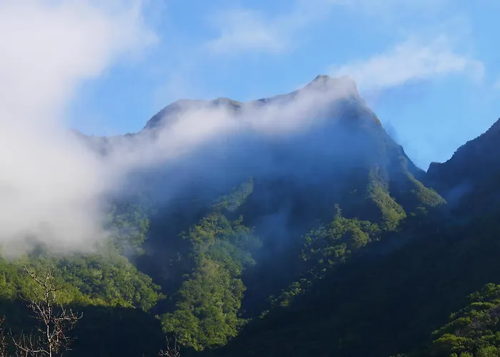 Casinhas Da Laurissilva *
